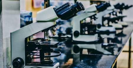 Organização internacional premeia investigadora do i3S por projeto sobre doença inflamatória intestinal