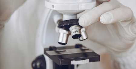 Estudo identifica proteína que pode desbloquear imunoterapia contra vários tipos de cancro