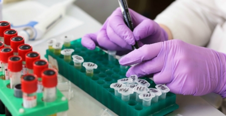 Resistência a antibiótico contra bactéria do estômago H. pylori duplica na Europa
