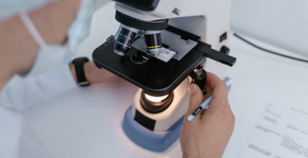 Investigadores portugueses estudam evolução das bactérias invasoras do intestino