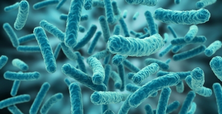 Investigadores desvendam como o microbioma intestinal afeta o comportamento do hospedeiro