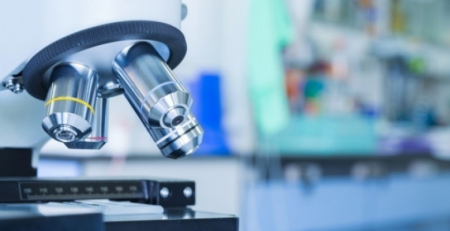 Investigadores estudam progressão das doenças do intestino em busca de novas terapias