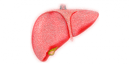 Esteatose hepática associada à síndrome metabólica constitui fator de risco para fibrose hepática