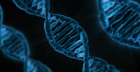 Genes mostram que a anorexia nervosa também tem uma origem metabólica