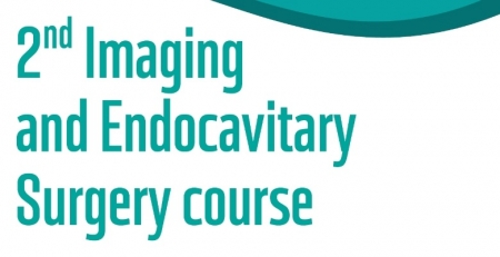 Arranca hoje o 2nd Imaging and Endocavitary Surgery Course