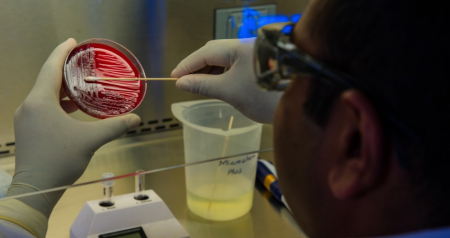 Novas bolsas para projetos de investigação em microbiota