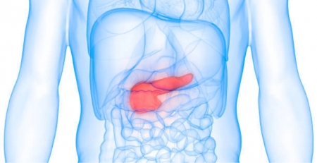 Cancro no pâncreas: um dos mais difíceis de tratar