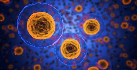 COVID-19: Anticorpos podem atacar fígado e sistema gastrointestinal