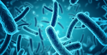 “Pode haver mais genes no microbioma humano do que estrelas observáveis no universo”
