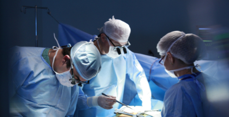 Transplante de fígado de porco geneticamente modificado mostra potencial como terapia temporária
