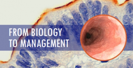 Curso Barrett's Esophagus 2019: consulte o programa científico