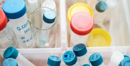 Pandemia teve “claro impacto” na área das hepatites virais