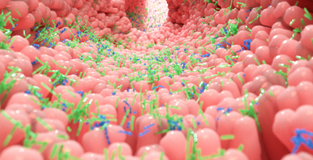 Estudo indica que adoçantes artificiais têm efeitos patogénicos na microbiota intestinal