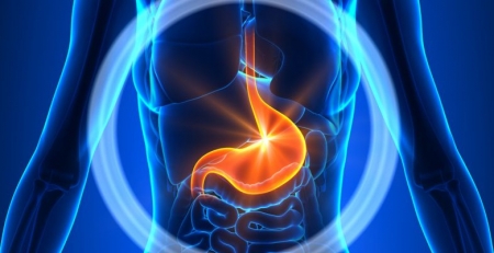 Lançado novo dispositivo médico que restaura a função intestinal