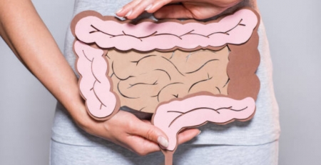 Qualidade do ar influência saúde intestinal