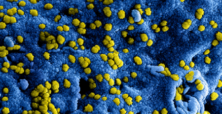 Estudo analisa a influência do microbioma humano na saúde mental