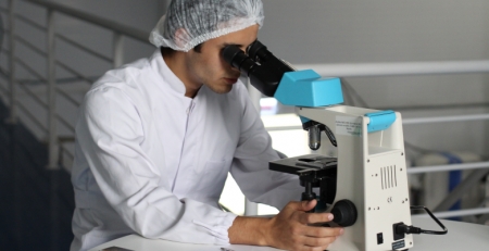 Estudo revela que molécula envolvida na reparação de lesões no fígado tem potencial para ser biomarcador