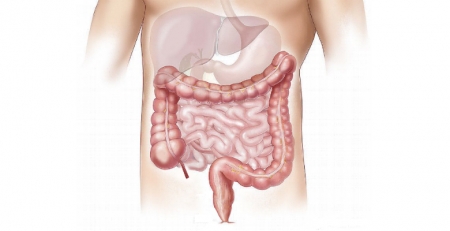 Ultrassonografia na doença inflamatória intestinal em destaque no 3.º curso organizado pelo GRUPUGE