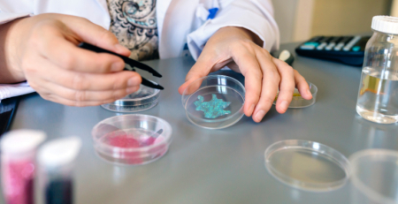 Nanoplásticos podem afetar células intestinais