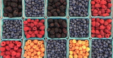 Alimentos antioxidantes aumentam o risco o cancro no intestino