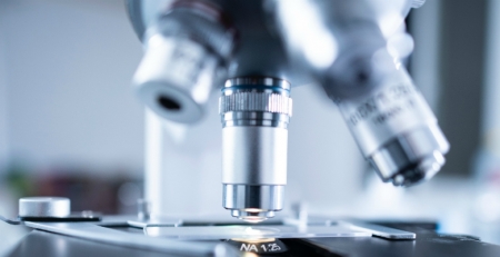 Circuitos circadianos promovidos pela luz e ajustados ao cérebro regulam as ILC3 e a homeostasia intestinal