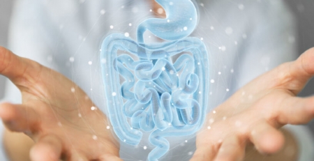 Dia Mundial da Doença Inflamatória do Intestino junta médicos, investigadores e doentes