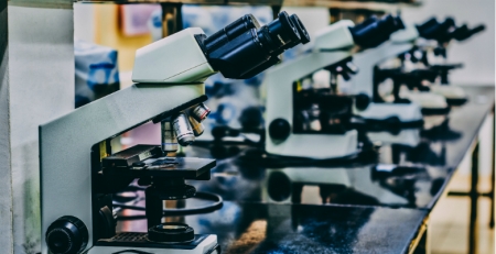 Qual o papel do estudo das bactérias do intestino no tratamento de doenças como o cancro?