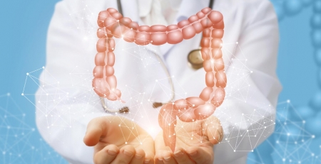 Investigadores portugueses procuram terapia mais eficaz para o cancro do cólon