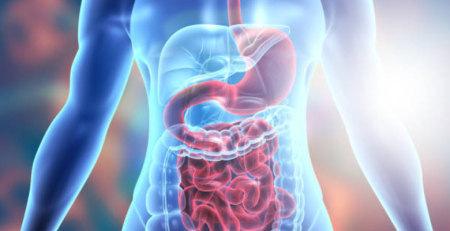 Serviço de Gastrenterologia do CHL inicia estudos funcionais digestivos