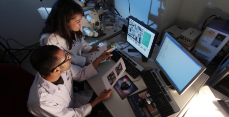 Alteração dos parâmetros bioquímicos da função hepática frequente mas ligeira em doentes com COVID-19