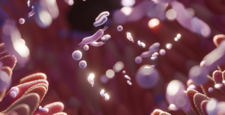 Bactérias intestinais que mais influenciam a obesidade diferem em homens e mulheres